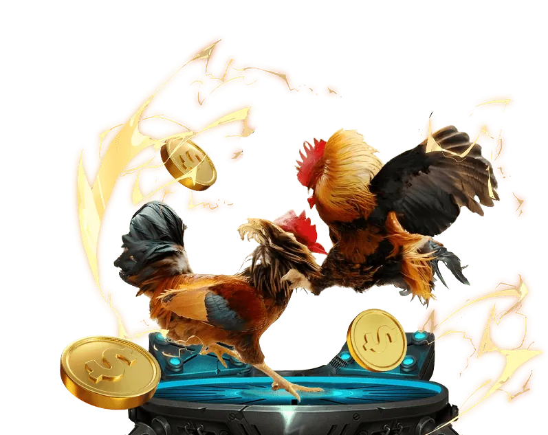 Cam kết của m.nohu28